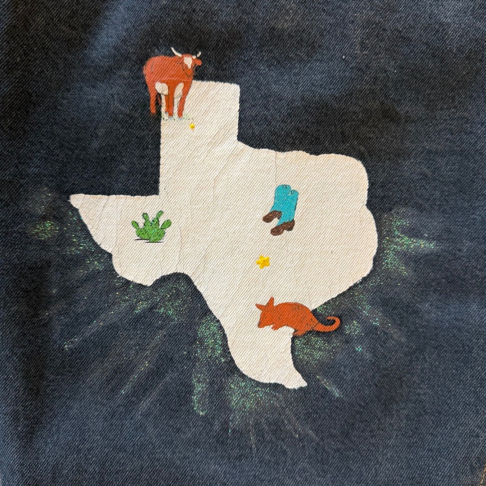 Vintage 90s Ginos Denim Jacket Painted Texas Graphic Animal Embroidery Medium - Picture 3 of 8